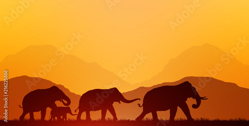 Canvas Print silhouette elephants on blurry sunrise background