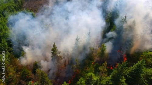 Glenshane Forest on fire captured by drone on hottest summer on record. photo