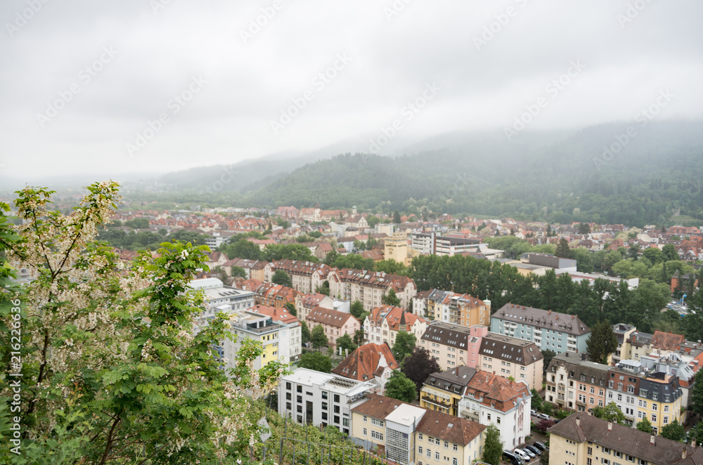 City of freiburg with misty and hazy low hanging cloud with focus on plant in foreground
