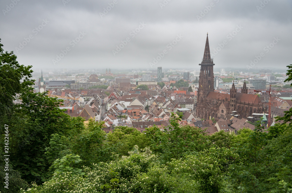 City of freiburg with the munster in focus