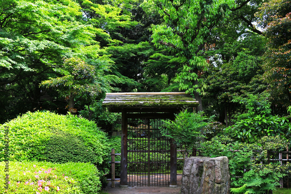 Entrance of Japanese style garden surrounded by greenery Entrance of Japanese style garden surrounded by greenery