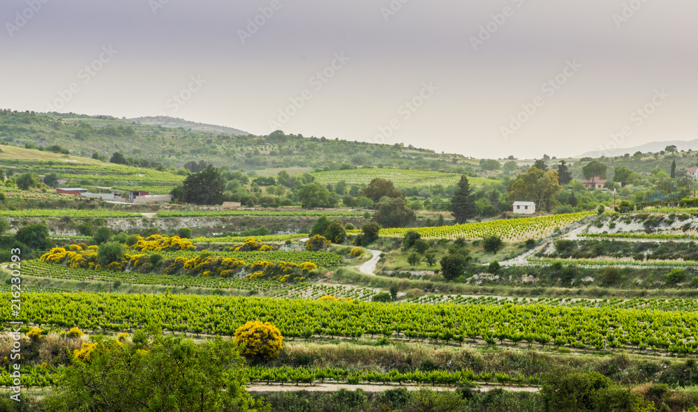 Φωτογραφία The countryside outside the traditional village of Omodos in cyprus