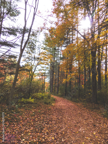 New England Fall