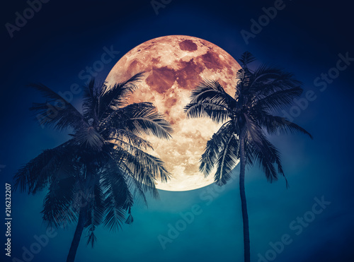 Landscape of sky with blood moon behind coconut palm. Serenity background. photo