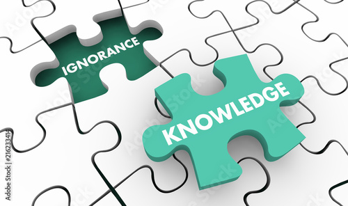 Knowledge Beats Ignorance Intelligence Vs Stupidity Puzzle 3d Illustration