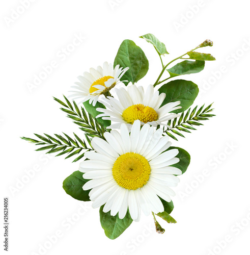 Daisy flowers and wild gras...