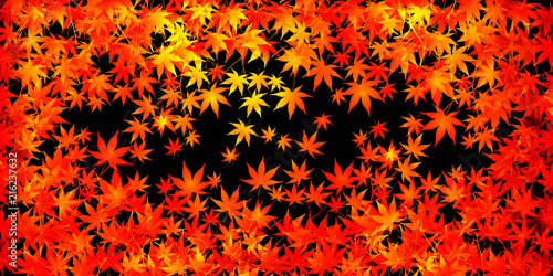 紅葉　秋　葉　背景