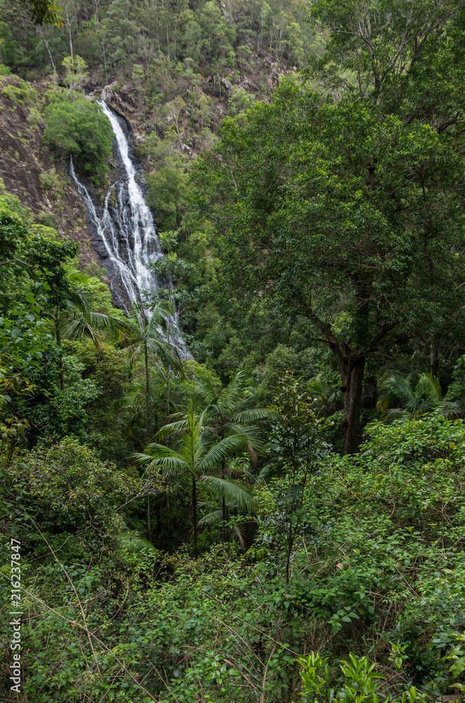 Waterfall plunging into bush