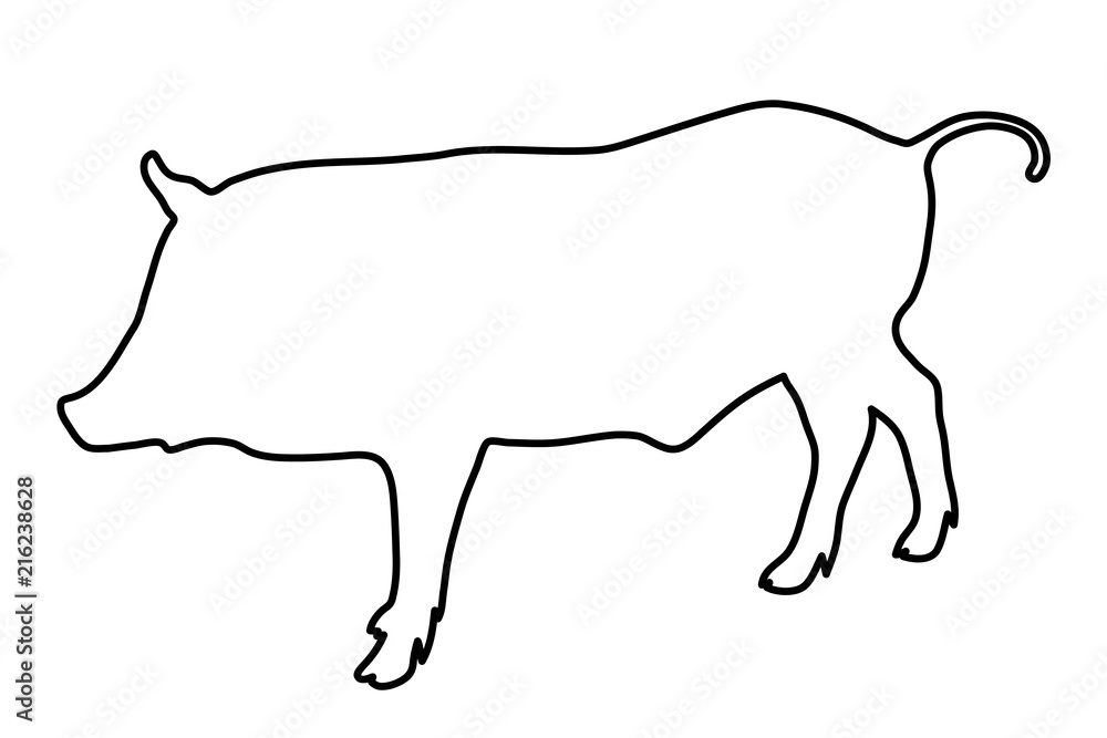 Wild boar outline of the black lines. Vector illustration. Wild boar outline of the black lines. Vector illustration.