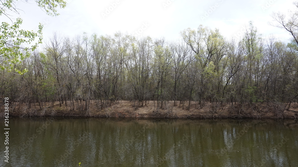 Obraz premium Spring flood