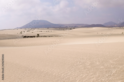 fuerteventura Corralejo