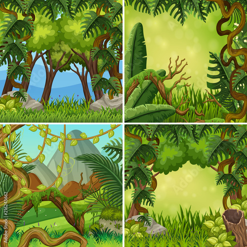 A set of jungle landscape