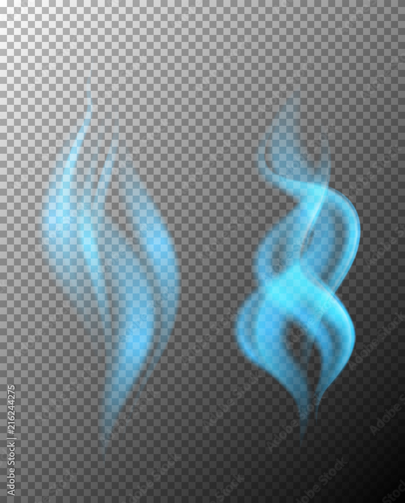 Two blue flames vector