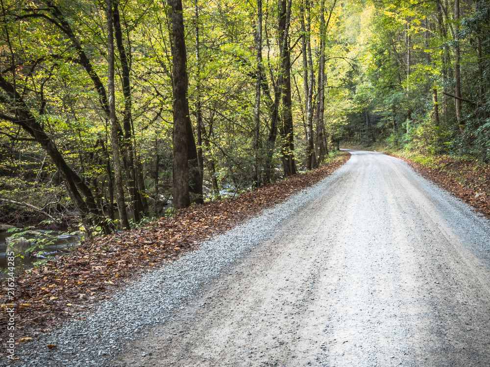 Fototapeta premium Disappering Gravel Road