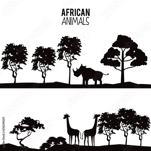 Rhino and giraffes african animals silhouetttes at savanna vector illustration graphic design photo