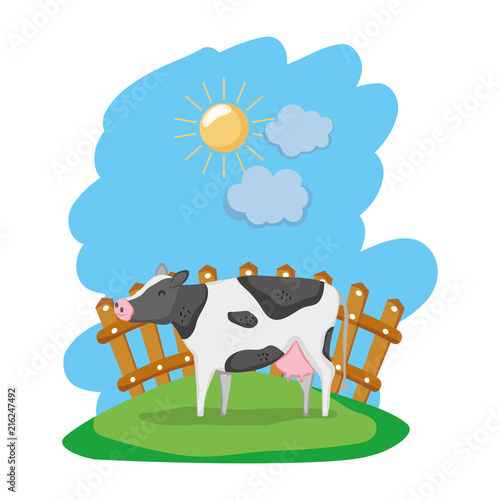cow farm animal inside wood grillage