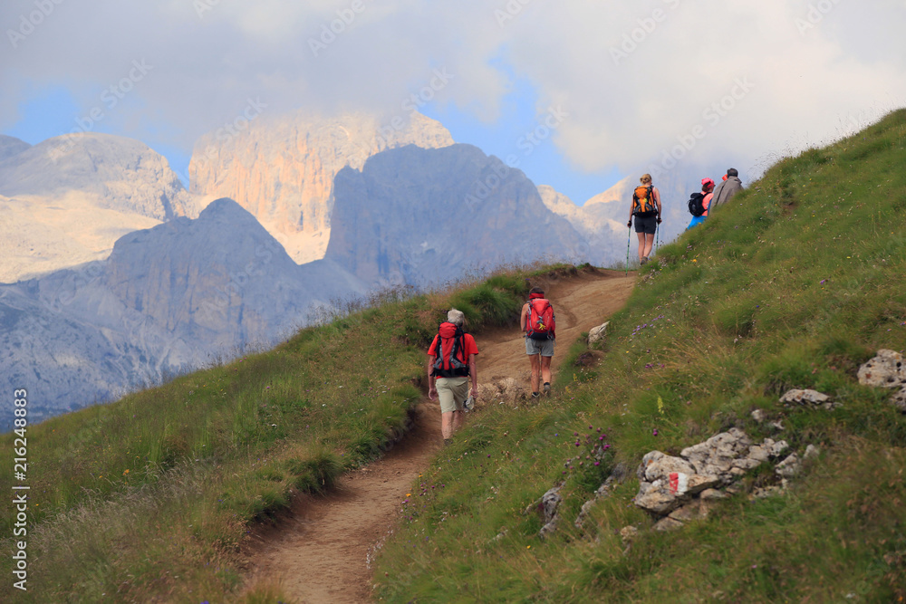 Obraz premium Wandern in Südtirol