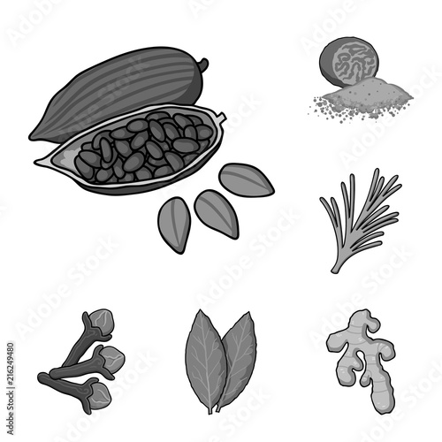 Herb and spices monochrome icons in set collection for design.Different kinds of seasonings vector symbol stock web illustration.