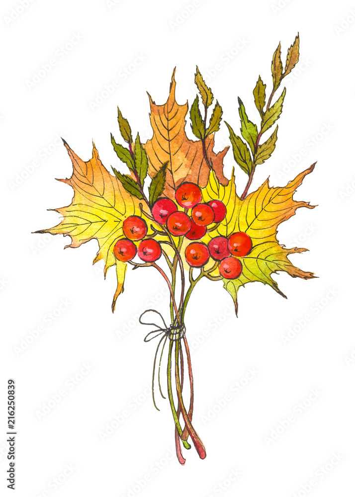 Fototapeta premium Watercolor drawing, autumn bouquet with a red berries and dry leaves. Hand painted vector illustration.