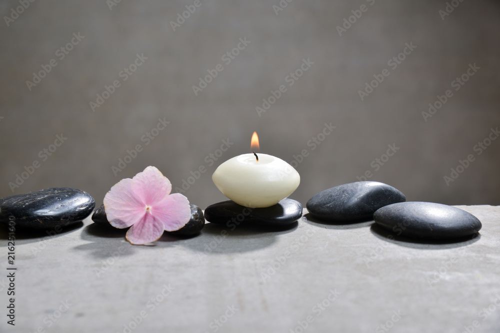 Many Pink hydrangea petals with white candle on gray background Many Pink hydrangea petals with white candle on gray background