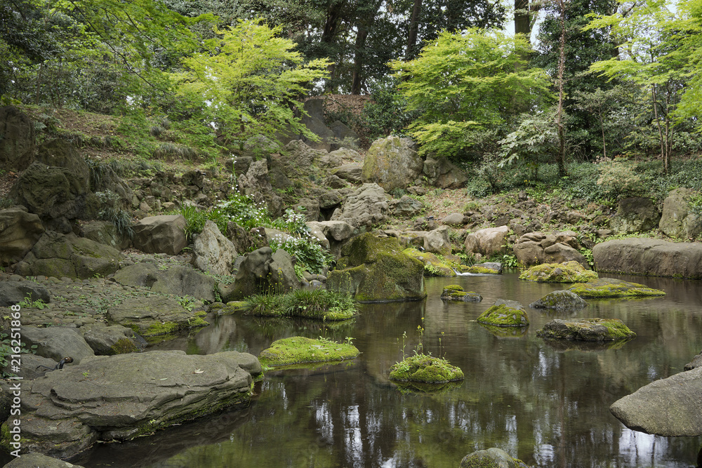 Flowers on stone covered with moss in the pond of tea house in rikugien garden park in Bunkyo district, north of Tokyo.
