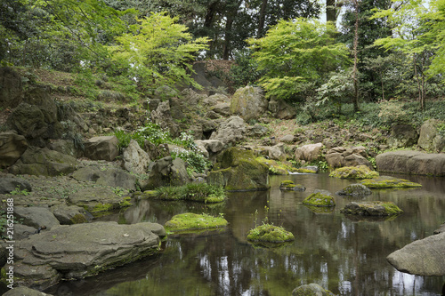Flowers on stone covered with moss in the pond of tea house in rikugien garden park in Bunkyo district  north of Tokyo.