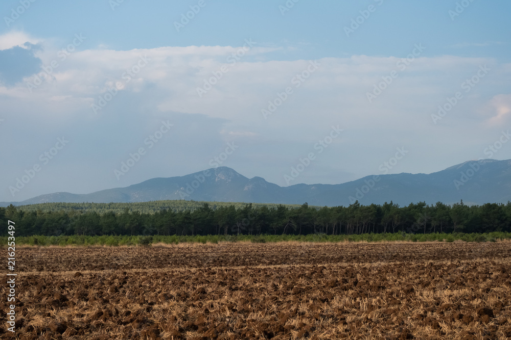 Plowed Field Surrounded by Trees and Mountains