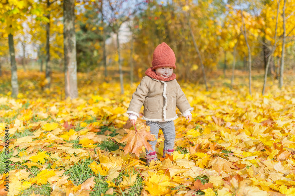 Little smiling girl in warm cap with maple leaf play in autumn forest Little smiling girl in warm cap with maple leaf play in autumn forest