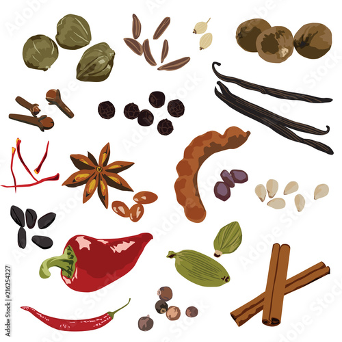 A set of different spices on a white background.