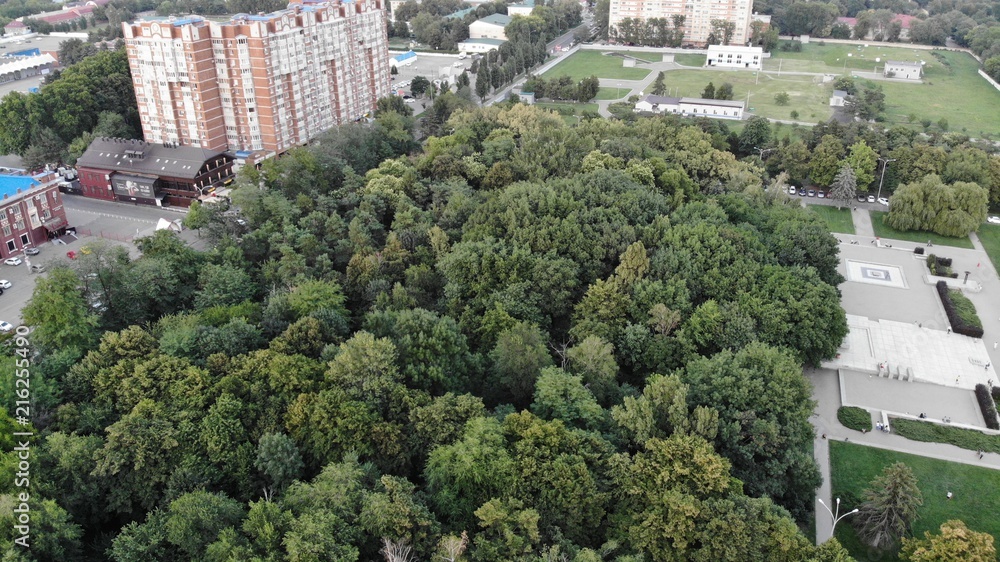 Obraz premium Evening park. Forest.