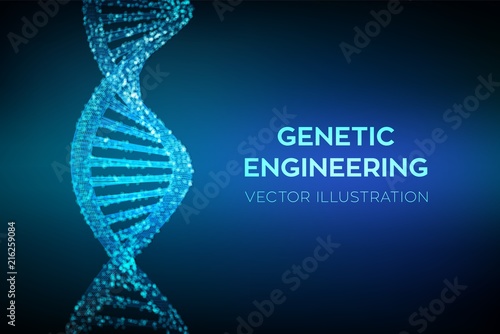 DNA sequence. Wireframe DNA molecules structure mesh. DNA code editable template. Science and Technology concept. Vector illustration.