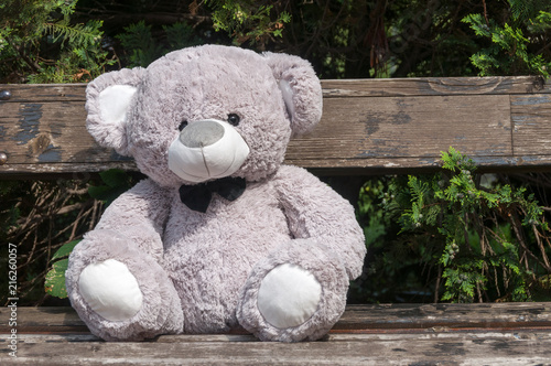 toy teddy bear photo