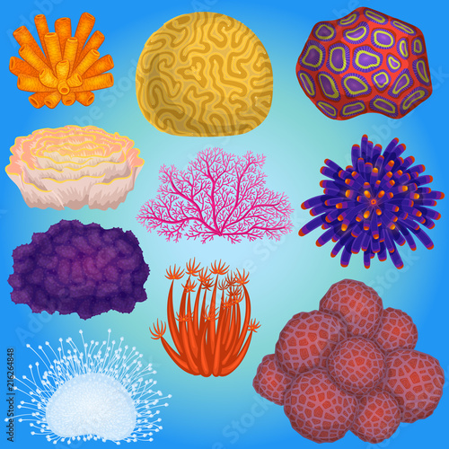 Coral vector sea coralline or exotic cooralreef undersea illustration coralloidal set of natural marine fauna in ocean reef isolated on aquatic background