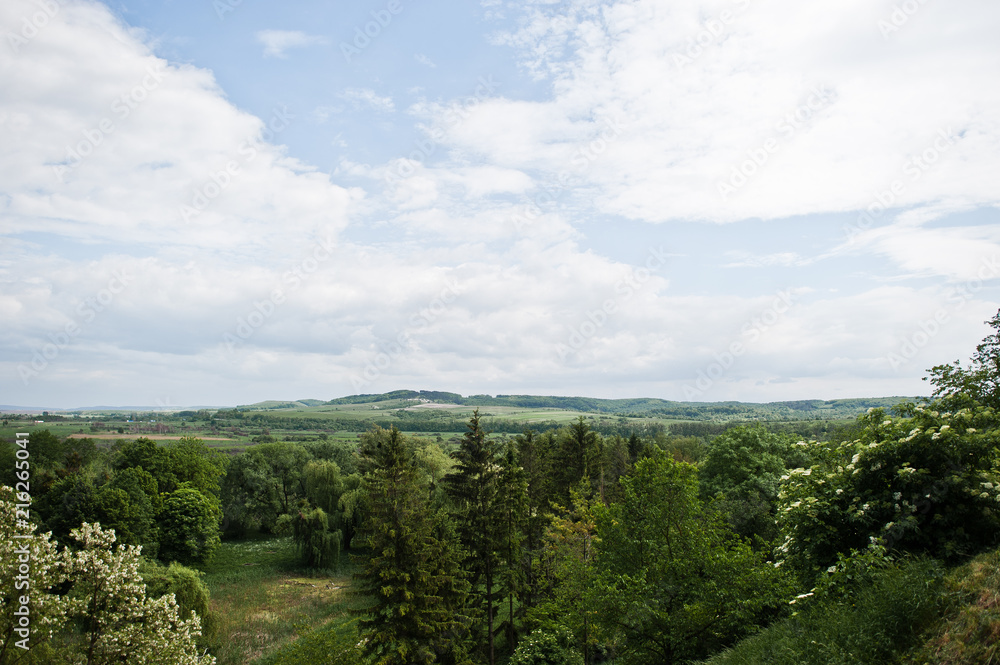 Obraz premium Marvellous green landscape with blossoming trees.