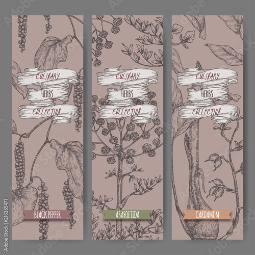 Three labels with Syrian oregano, sumac and nutmeg sketch.
