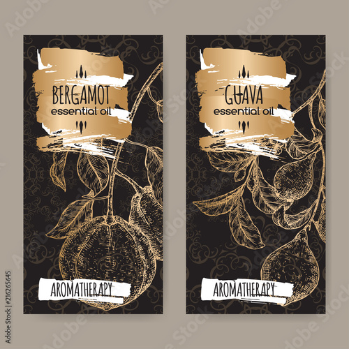 Two labels with Citrus bergamia aka bergamot and Psidium guajava aka guava branch sketch on black lace background. photo