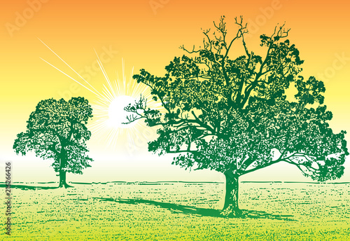 Summer sunny landscape with silhouettes of green trees  grass and sun. Vector graphic illustration of a natural park  forest and meadow under bright light rays.