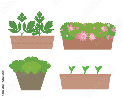 Set of flat design boxes and pots with colorful flowers and vegetables, isolated on white background