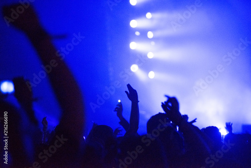 Crowd with raised arms at concert
