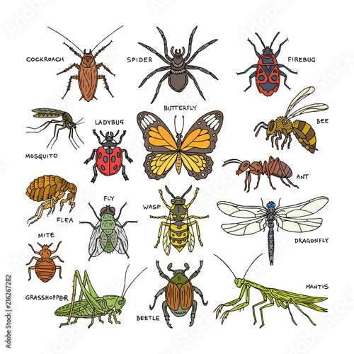 7 Jumbo insectes/BUGS/minibeasts SET-Bee Fly Fourmi Coccinelle Libellule etc 