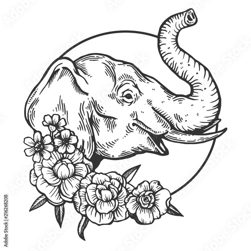Elephant animal engraving vector