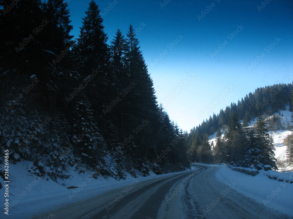 Winter road in a ski resort with snow and coniferous trees