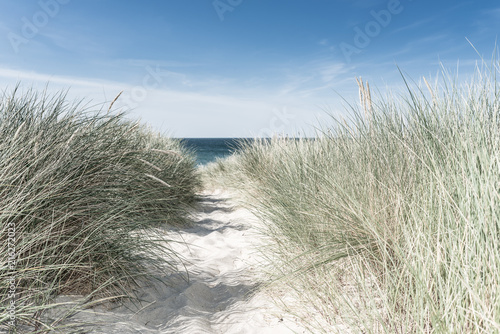 Fototapeta Naklejka Na Ścianę i Meble -  Dune with green grass. View for the beach.