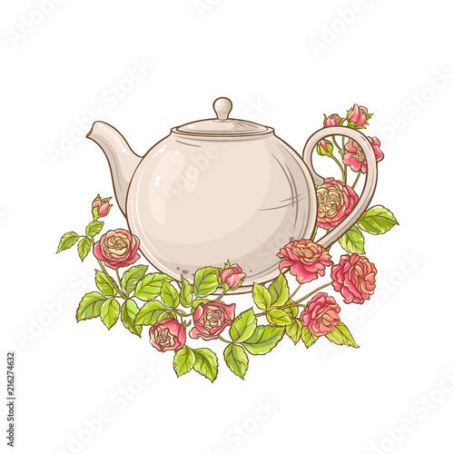 rose tea vector illustration