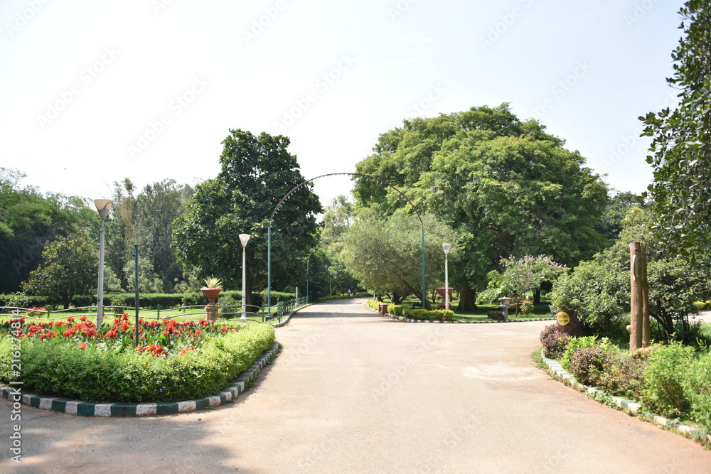 Lal bagh garden, Bangalore, Karnataka, India