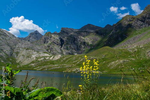 LAUZANIER, Provence-Alpes-Côte d'Azur photo