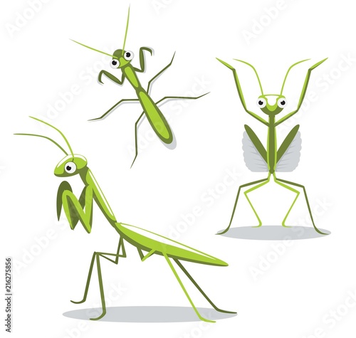 Cute Mantis Poses Cartoon Vector Illustration