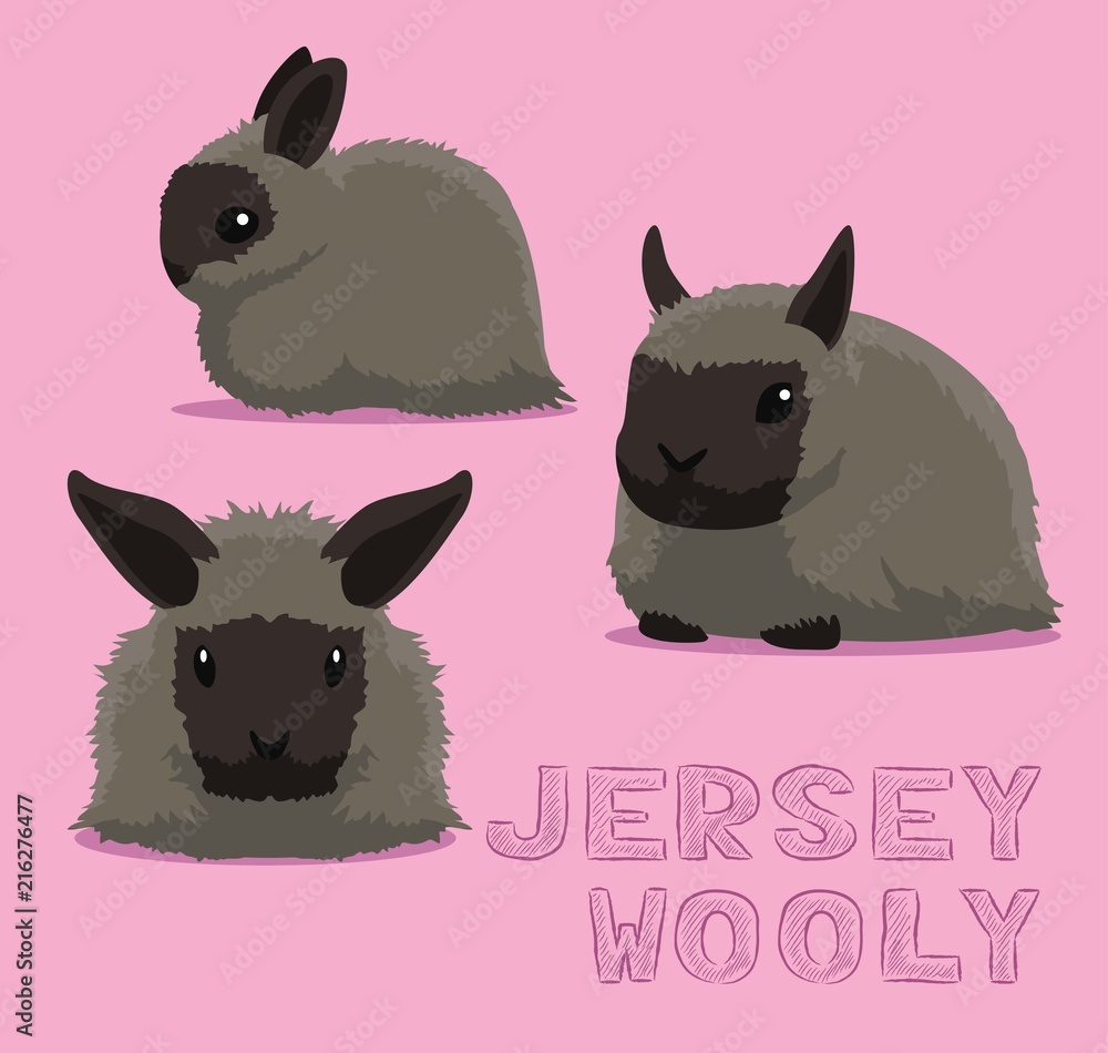 Fototapeta premium Rabbit Jersey Wooly Cartoon Vector Illustration