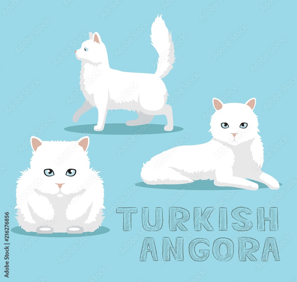 Cat Turkish Angora Cartoon Vector Illustration