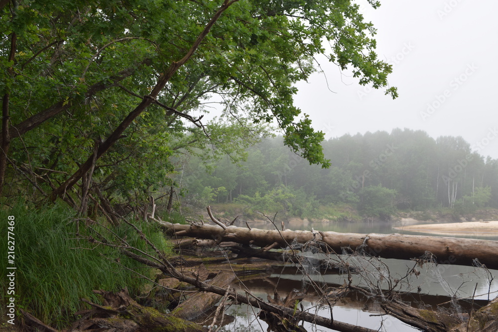 утро на реке,
